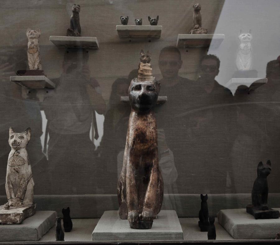 Varias estatuas de gatos aparecen en exhibición en una necrópolis de la antigüedad, cerca de las famosas pirámides de Egipto en Saqqara, Giza, Egipto. (AP) (semisquare-x3)