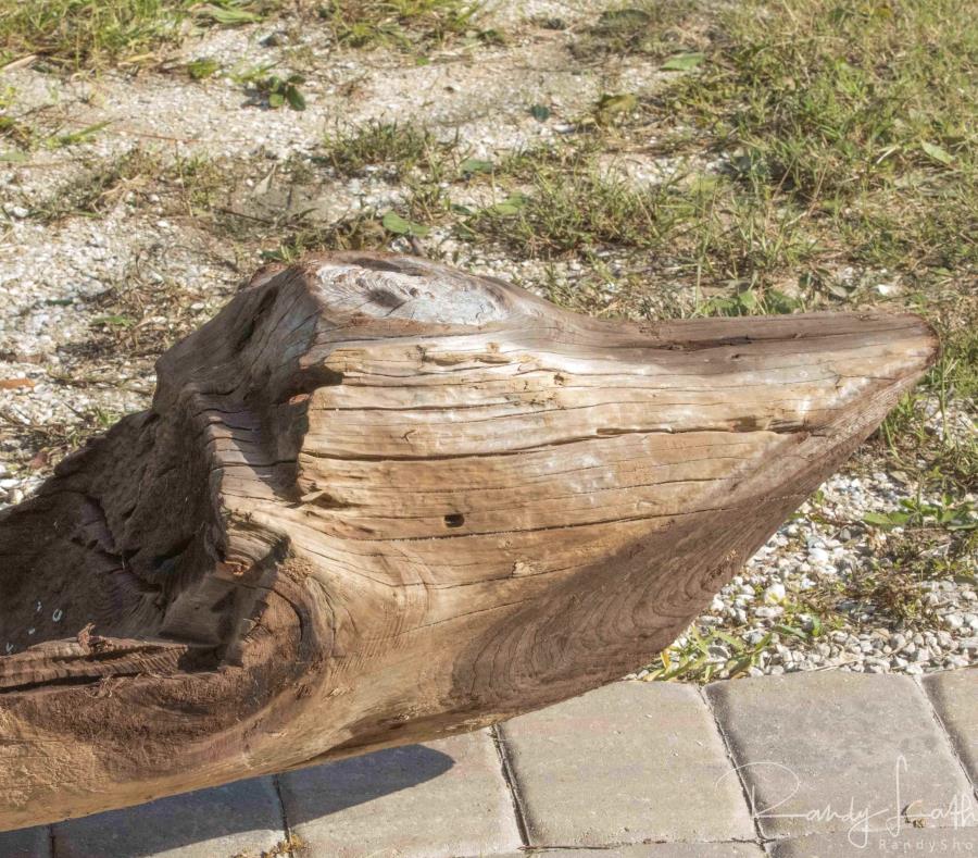 Canoa de madera hallada en Florida puede ser del siglo XVII (semisquare-x3)