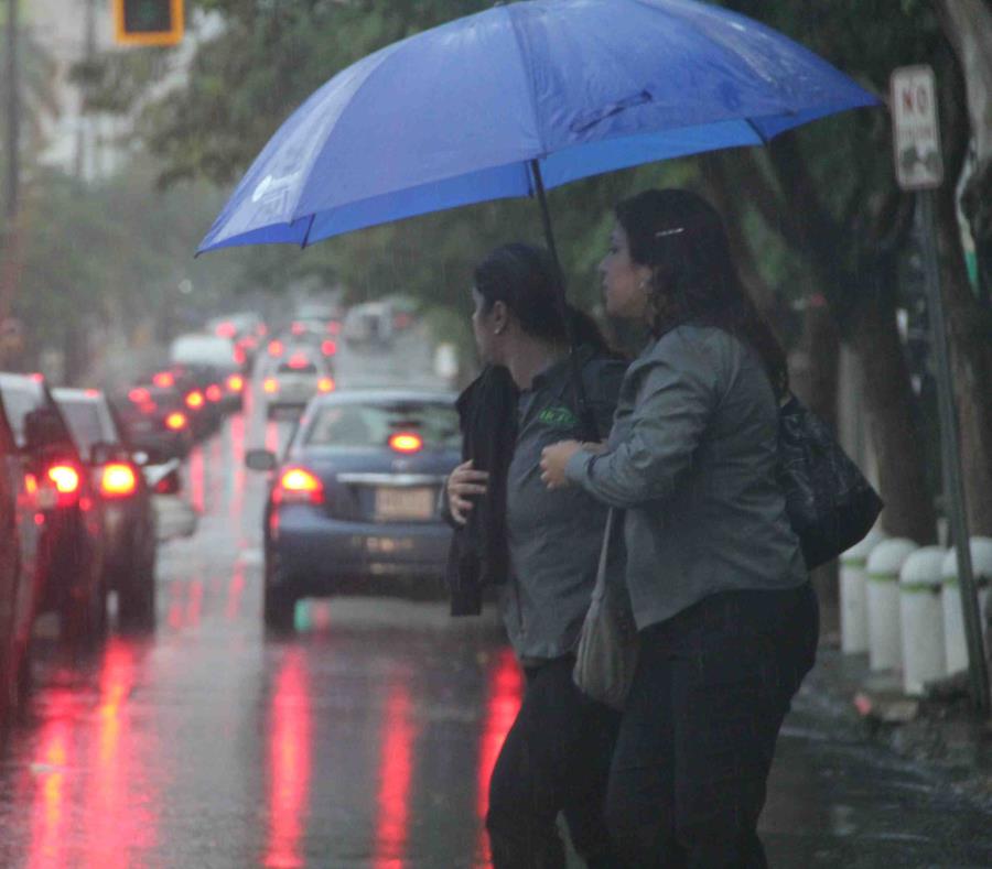 Dos mujeres intentan cruzar una carretera cubiertas por una sombrilla. (GFR Media) (semisquare-x3)