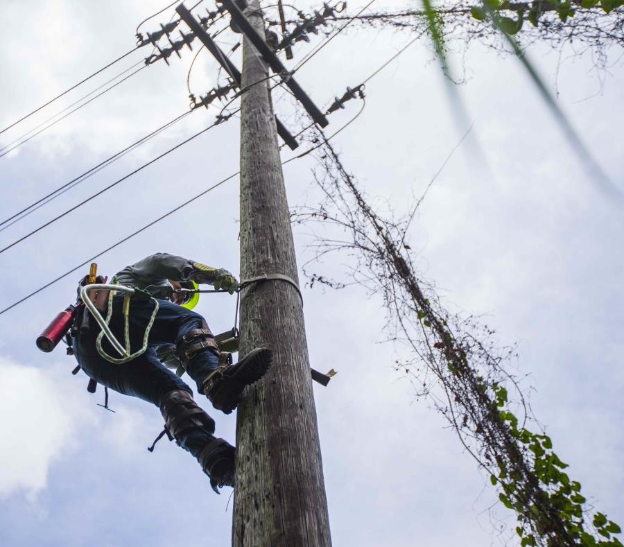 El huracán María dejó la mayoría de la infraestructura eléctrica del país hecha añicos. (GFR Media) (semisquare-x3)