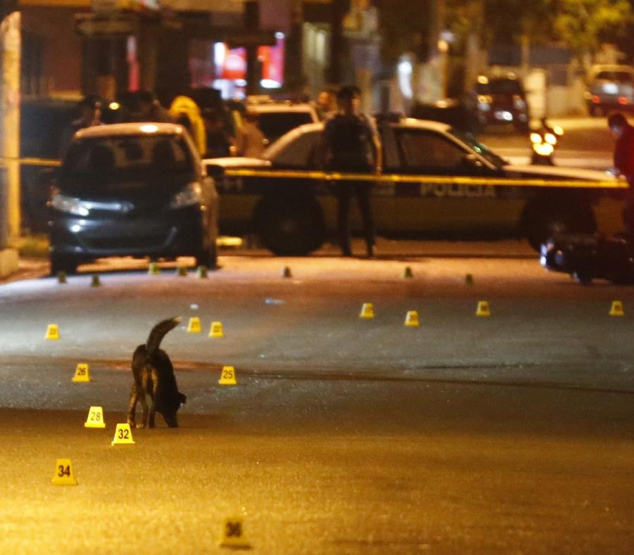 Un perro se observa en medio de una escena de un asesinato investigada por la Policía. (GFR Media) (semisquare-x3)